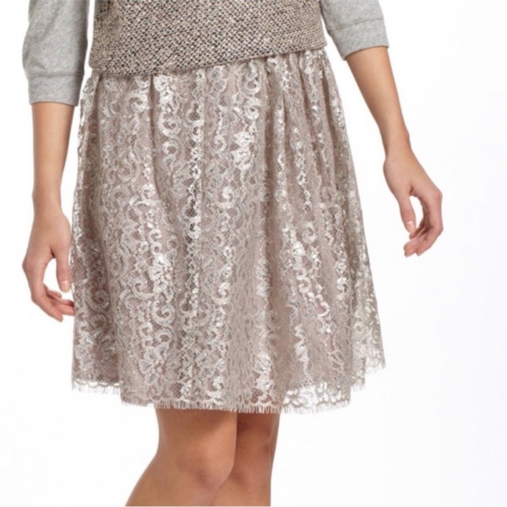 Anthropologie Metallic silver HD in Paris lace skirt